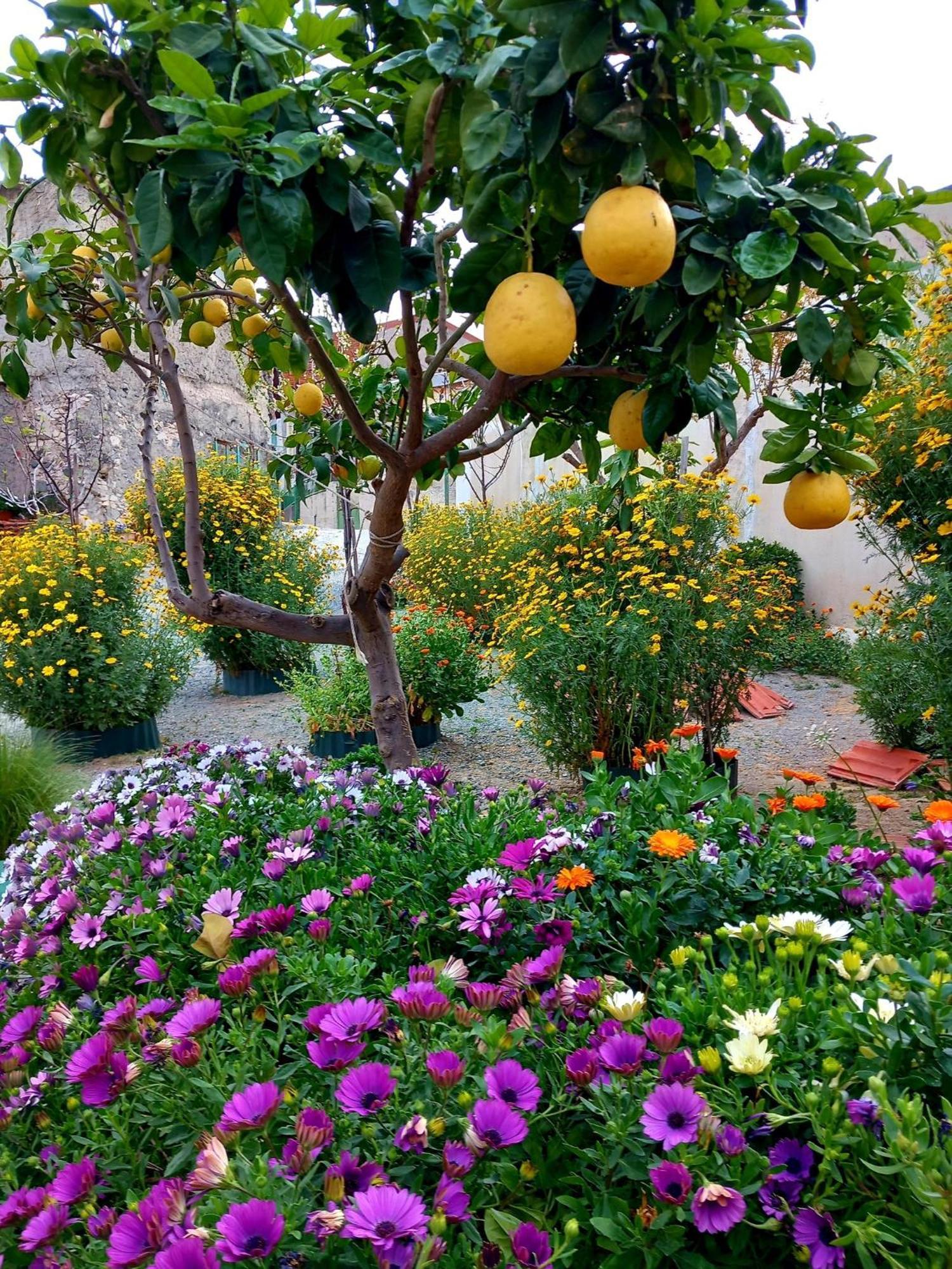 4 Seasons Suites Paradise Near Athens Airport Markópoulon 외부 사진